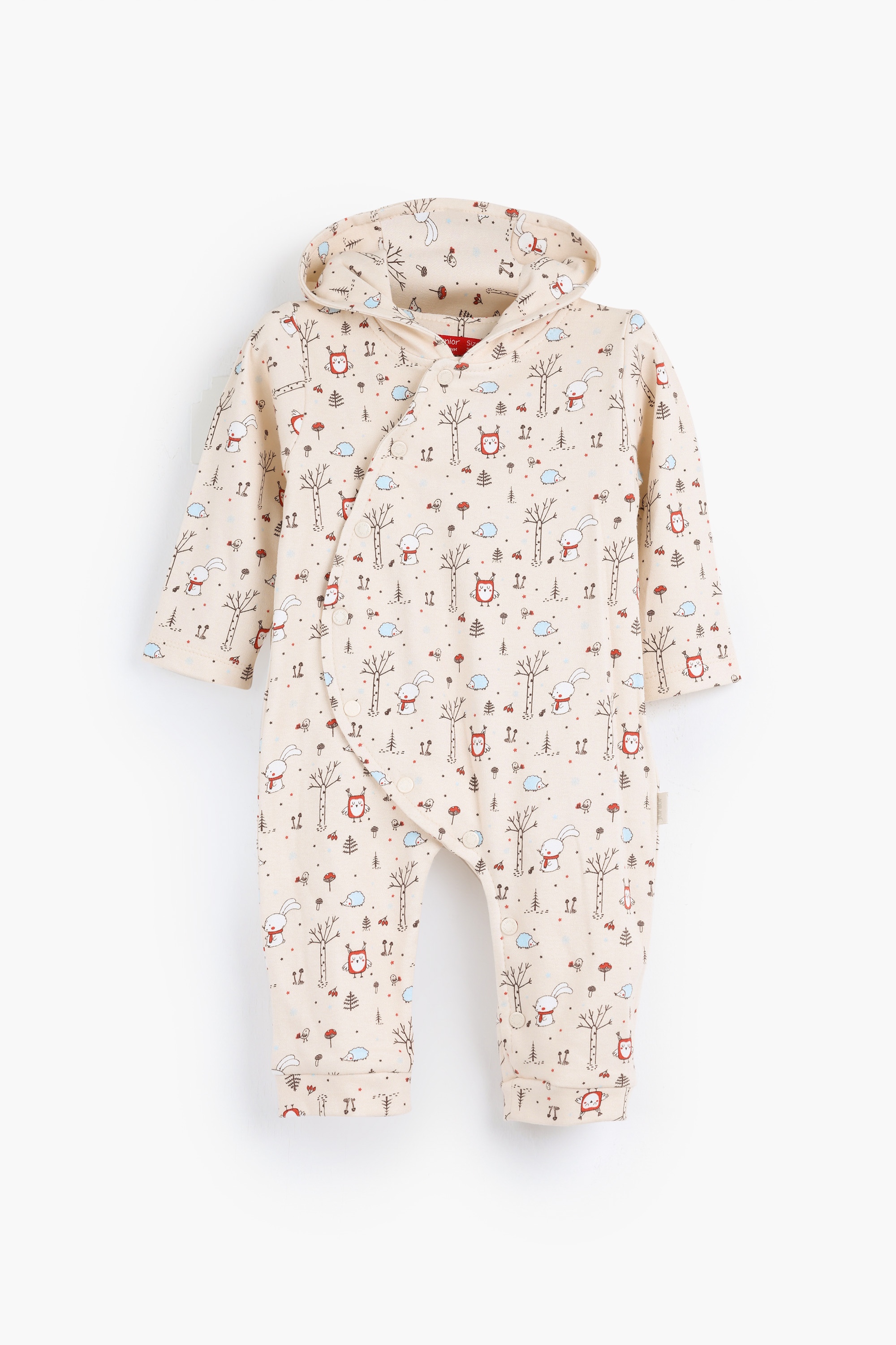 سالوبيت خريفي