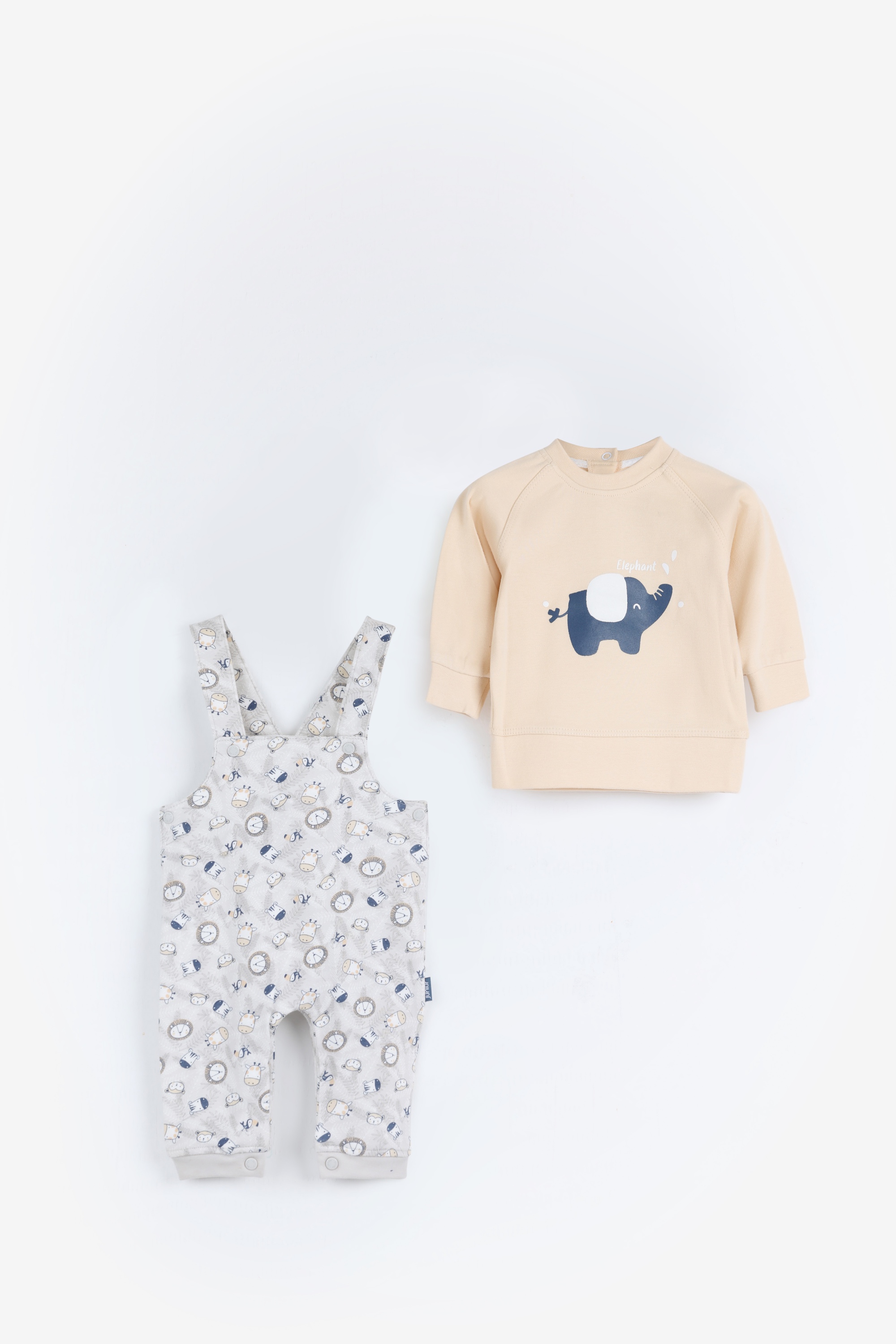 سالوبيت خريفي