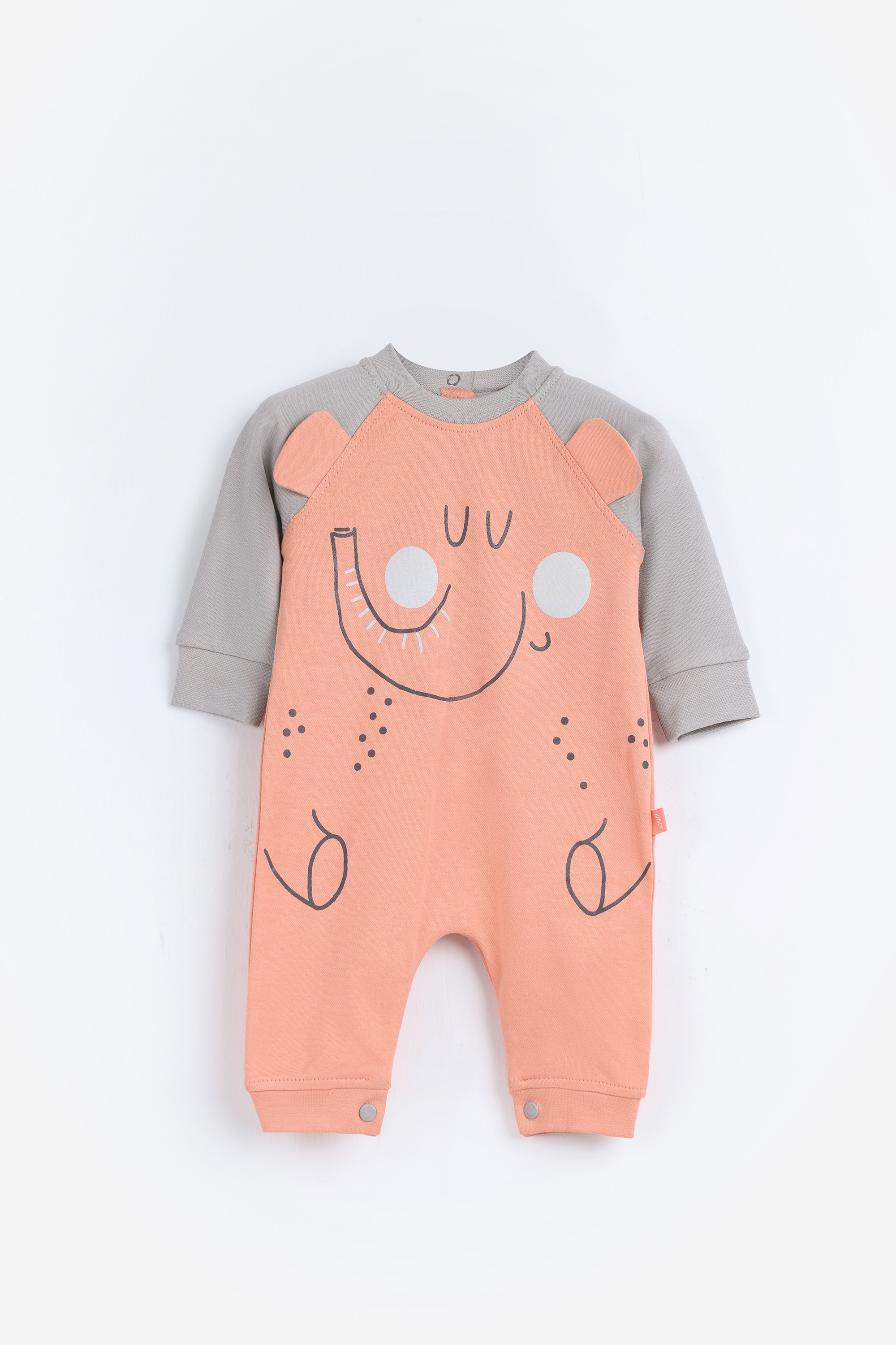 سالوبيت خريفي