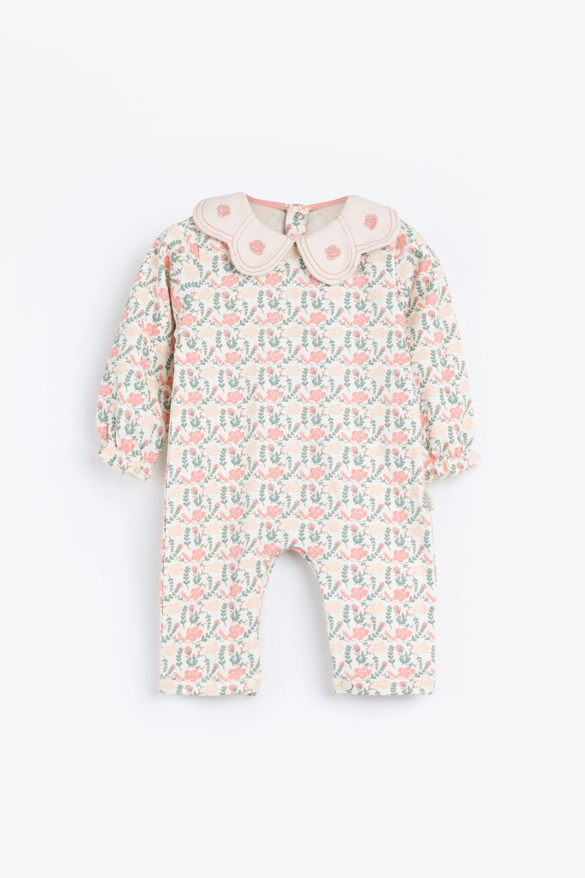 سالوبيت خريفي